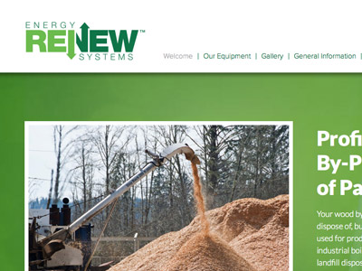 Renew Energy Systems Website